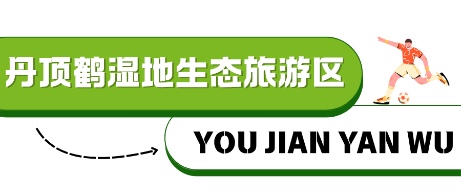 战”！淮安西游乐园等景区免费玩mg不朽情缘平台网站“鹿马大(图9)