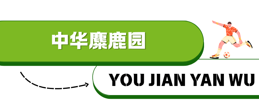 战”！淮安西游乐园等景区免费玩mg不朽情缘平台网站“鹿马大(图10)
